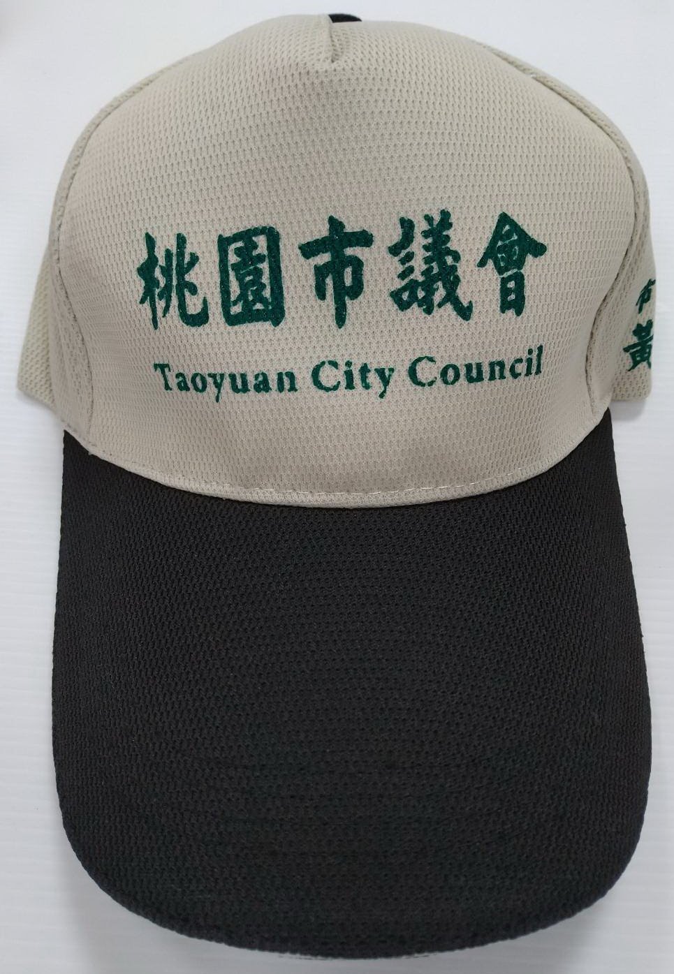 五片排汗網帽/廣告帽/活動帽 (內有多色)